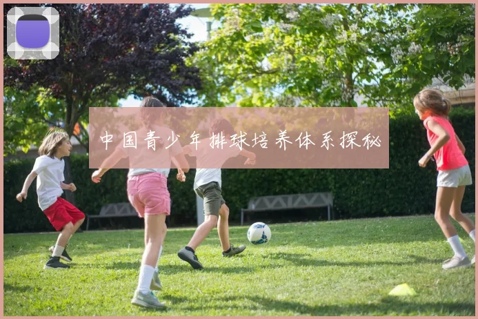 中国青少年排球培养体系探秘